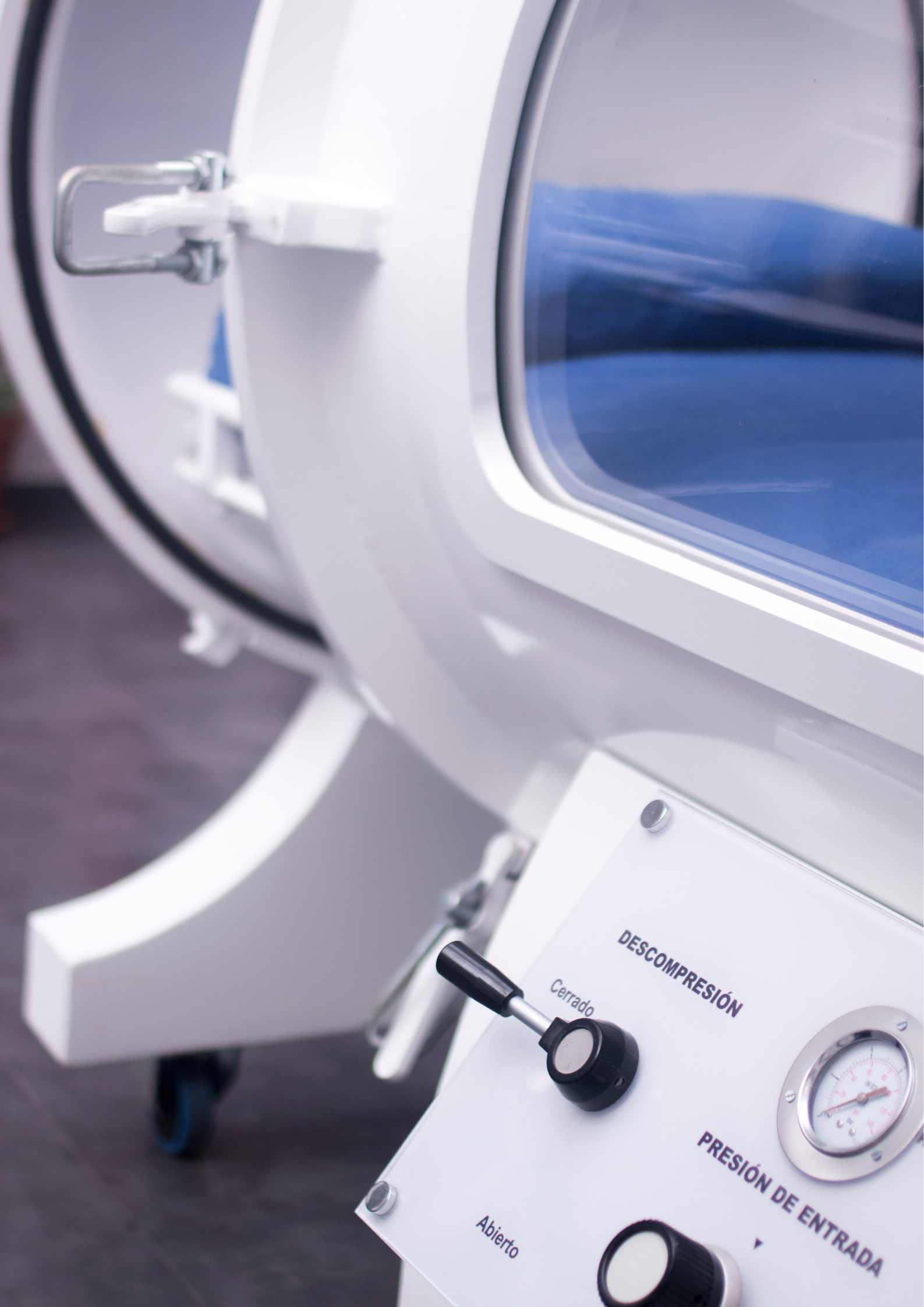 Diseño sin título (70)